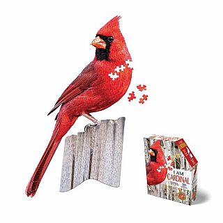 I Am Cardinal 300