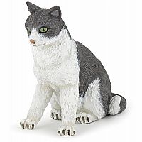 Cat Sitting Down