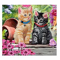 Cat Friends Crystal Art Card Kit