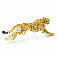 Cheetah Running