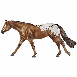 Chocolatey Champion Appaloosa