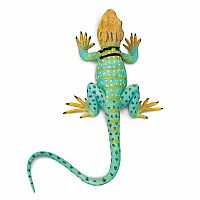 Collared Lizard 