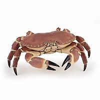 Crab