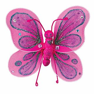 Beautiful Butterflies