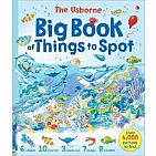 Big Book Of Things To Spot Ruth Brocklehurst paperback