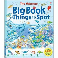 Big Book Of Things To Spot Ruth Brocklehurst paperback