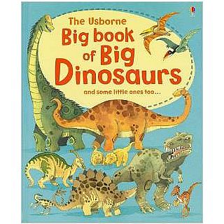 Big Book Of Big Dinosaurs Hardback