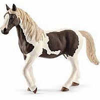 Horse Pinto Mare