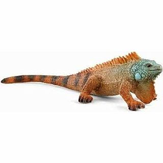 Iguana 