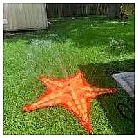 Starfish Sprinkler 