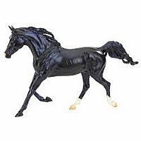 KB Omega Fahim Horse