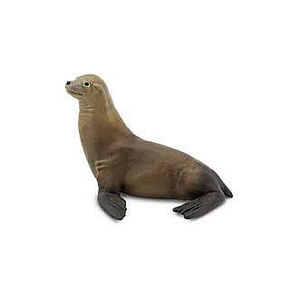 Sea Lion 