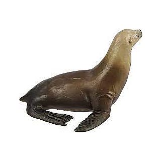 Sea Lion 