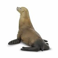 Sea Lion 