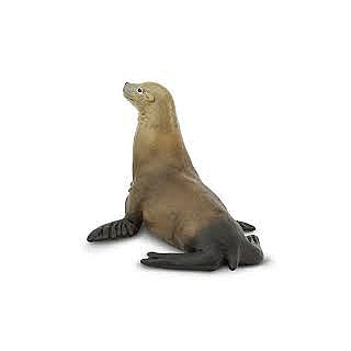 Sea Lion 