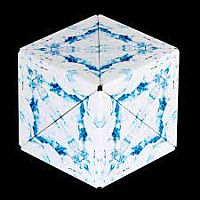 Arctic Animal Series Shashibo
