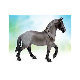 Blue Roan Brabant