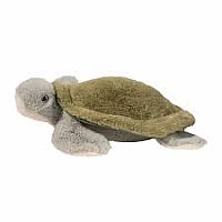 Sea Turtle Sheldon DLux