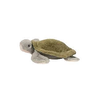 Sea Turtle Sheldon DLux 