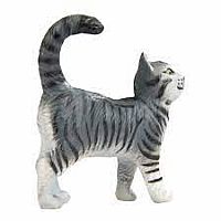 Grey Tabby Cat 