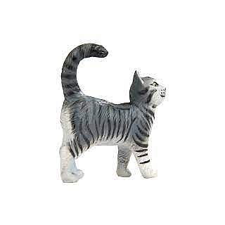 Grey Tabby Cat 