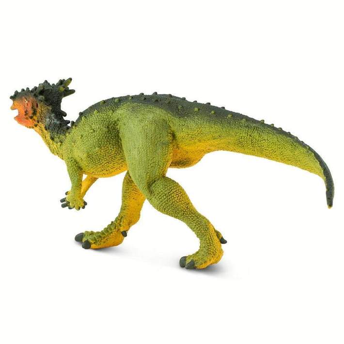 Dracorex Grandrabbit s Toys in Boulder Colorado