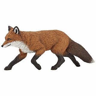 Fox