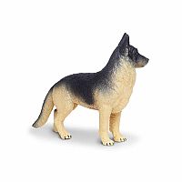 German Shephard 