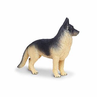 German Shephard 