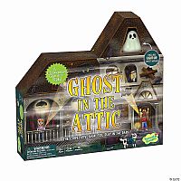 Ghosts In The Attic