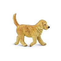 Golden Retriever Puppy 