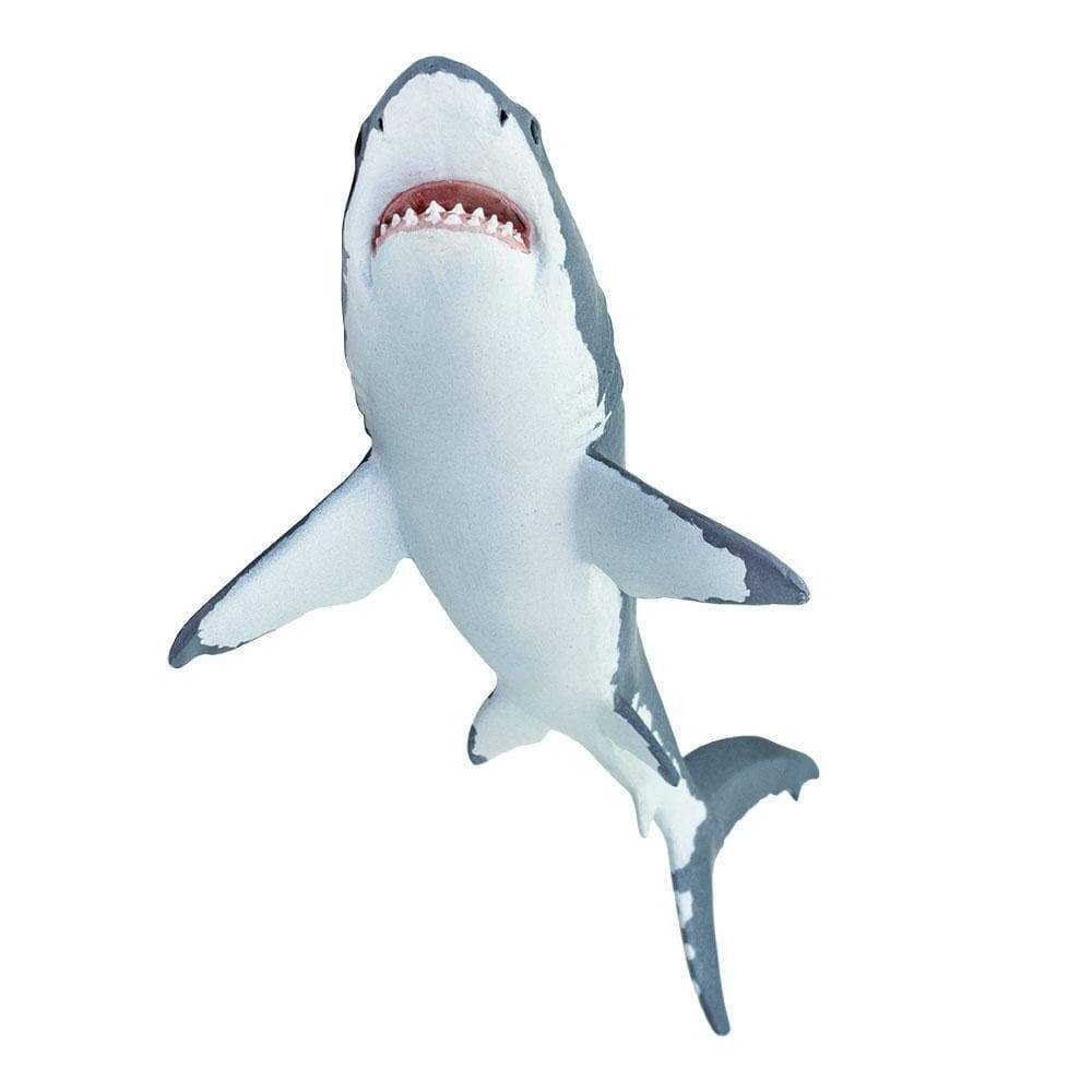 トイガン shark Sharks! Sharks Collection, Great White Shark, Hammerhead