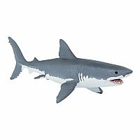 Great White Shark