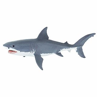 Great White Shark