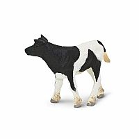 Calf Holstein 