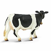 Cow Holstein