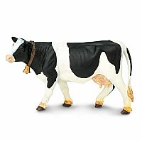 Cow Holstein