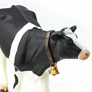 Cow Holstein