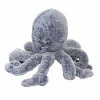 Jamie Octopus 
