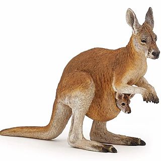 Kangaroo With Joey 