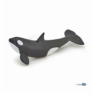 Liller Whale Calf 