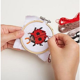 Ladybug Mini Cross Stitch Embroider Kit 