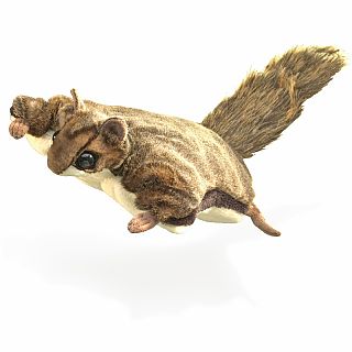 Flying Squirrel