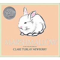Marshmallow Paperback