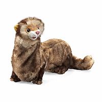 Ferret