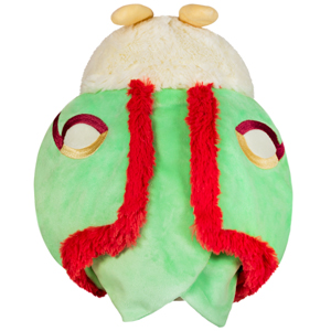 squishable luna moth