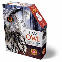 I Am Owl 300
