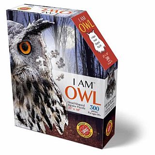 I Am Owl 300