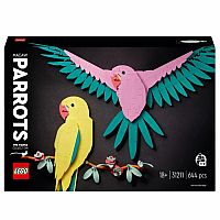 Fauna Collection: Macaw Parrots