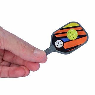 Pickleball Worlds Smallest